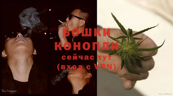 марки lsd Белокуриха