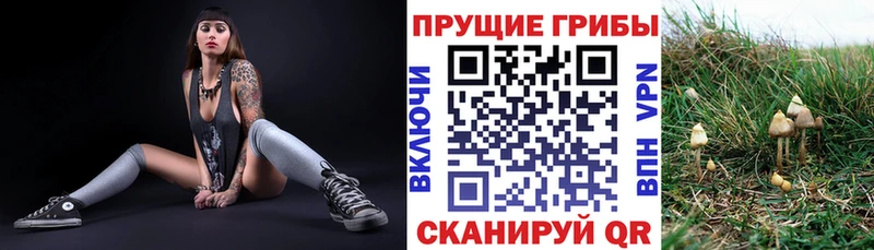 Галлюциногенные грибы ЛСД  как найти   мега зеркало  Саяногорск 