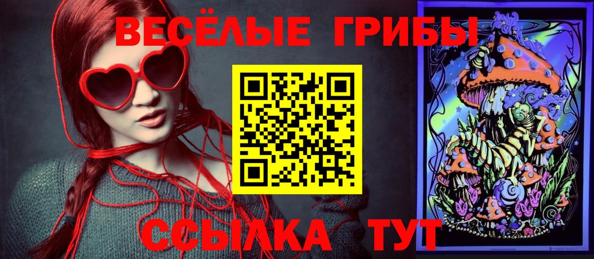 Псилоцибиновые грибы мицелий Саяногорск