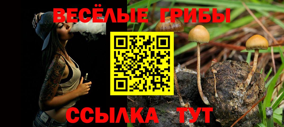 Саяногорск  Галлюциногенные грибы GOLDEN TEACHER  Вход с VPN 